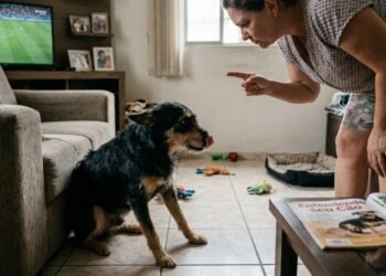 Veterinários concordam: o erro comum que pode tornar seu cão mais agressivo sem que você perceba