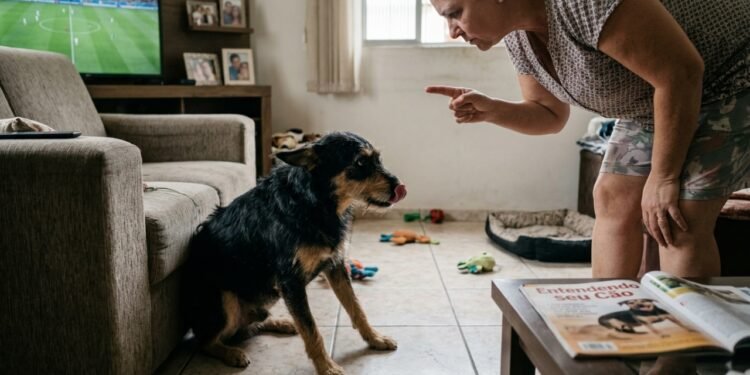 Veterinários concordam: o erro comum que pode tornar seu cão mais agressivo sem que você perceba