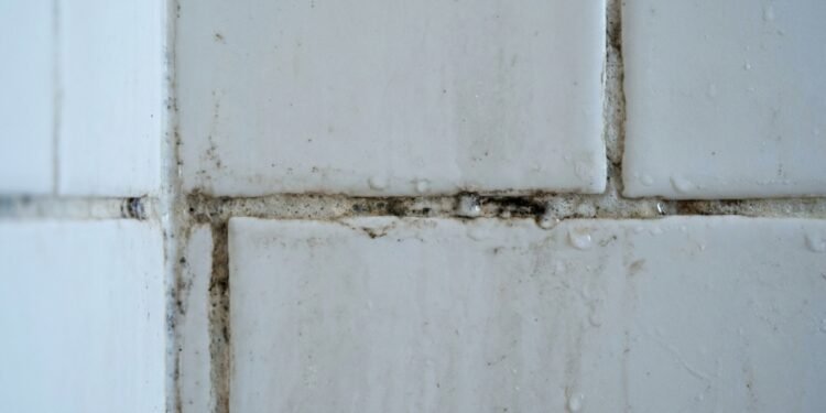 Como limpar rejunte encardido sem esforço com apenas 2 ingredientes