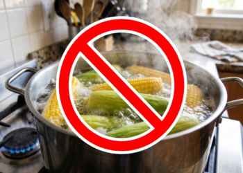 Milho verde pode perder nutrientes sem você notar