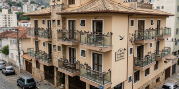 .O problema com pombos em apartamentos exige atenção