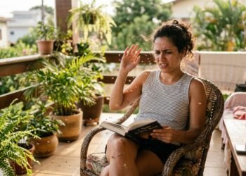 Essas plantas podem afastar insetos e ainda deixar sua casa mais perfumada