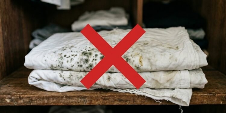 Adeus ao cheiro de mofo, o guia para manter lençóis com frescor de recém-lavados