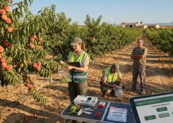 Produtor rural foi preso e multado em mais de 1.8 milhão após plantar e vender fruta sem permissão