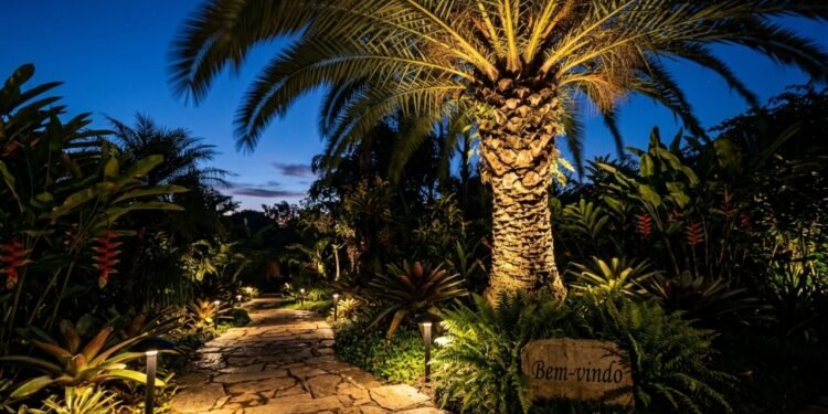 Como usar iluminação no jardim para destacar plantas, guiar caminhos e criar um clima agradável todas as noites