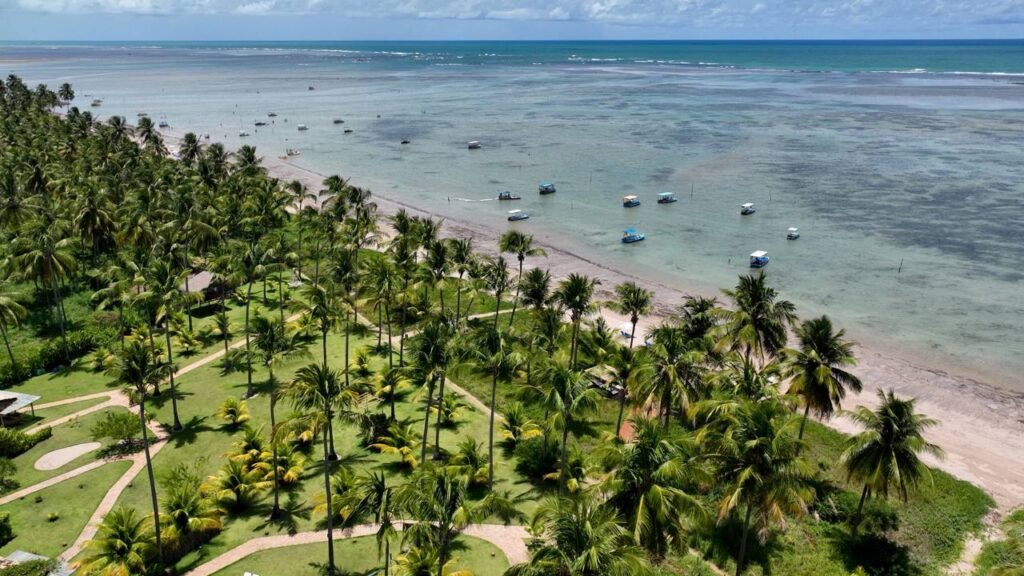 A praia alagoana com reconhecimento internacional e mar de piscina natural diante da segunda maior barreira de corais do mundo