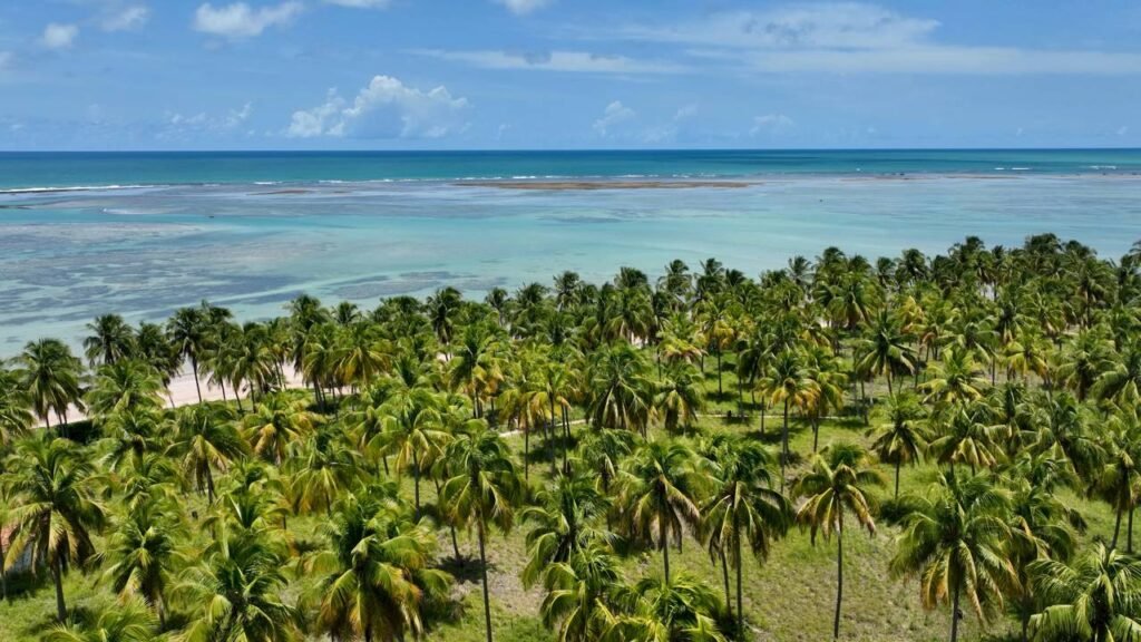 A praia alagoana com reconhecimento internacional e mar de piscina natural diante da segunda maior barreira de corais do mundo