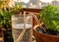 Esqueça o regador tradicional, esse é o novo jeito de manter suas plantas hidratadas gastando pouco e reaproveitando garrafas PET