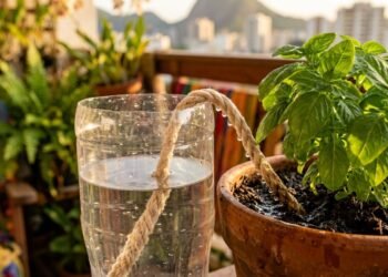 Esqueça o regador tradicional, esse é o novo jeito de manter suas plantas hidratadas gastando pouco e reaproveitando garrafas PET