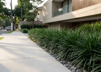 Nem flores caras, nem jardins elaborados: a planta simples que cria um visual sofisticado na calçada da sua casa
