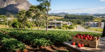 A Capital Nacional do Morango: uma cidade a poucos minutos da capital está conquistando os brasileiros com qualidade de vida e tranquilidade
