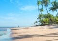 A praia baiana com piscinas naturais gigantes que revelam uma das paisagens mais espetaculares do país a céu aberto