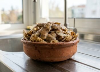Não jogue fora as cascas de batata, veja como reutilizar esse tesouro no crescimento das suas platas