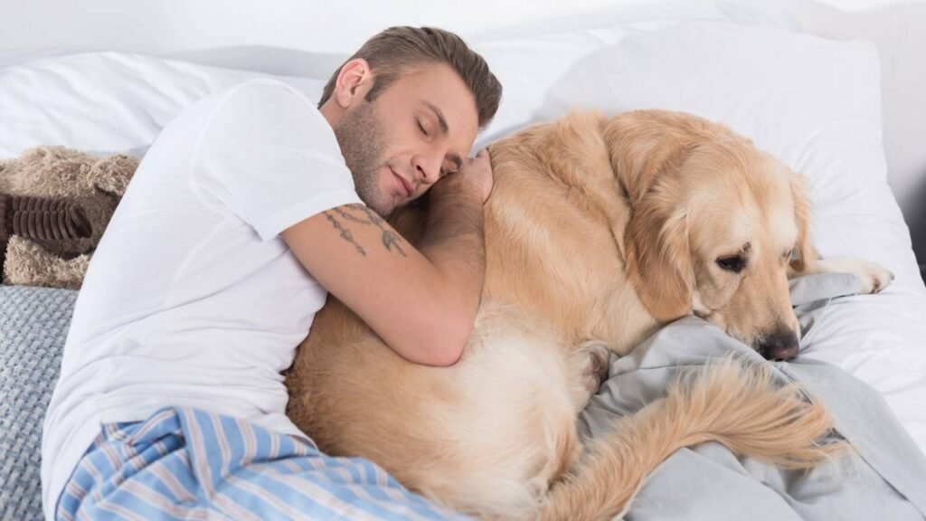 cães dormem encostados no dono