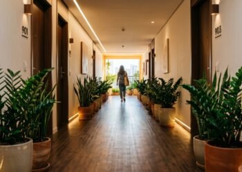 4 plantas que não precisam de sol direto e transformam corredores escuros em cantinhos verdes
