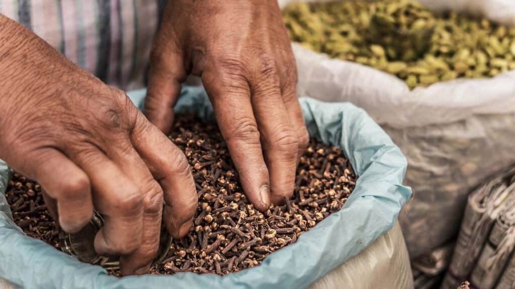 plantar cravo-da-índia