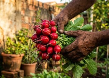Esqueça os tomates e descubra o que plantar no outono para colher ainda este ano