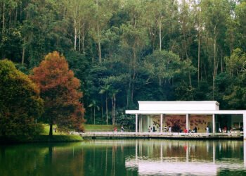 O maior museu a céu aberto da América Latina fica a 60 km de Belo Horizonte, em meio a um jardim botânico com mais de 4 mil espécies de plantas
