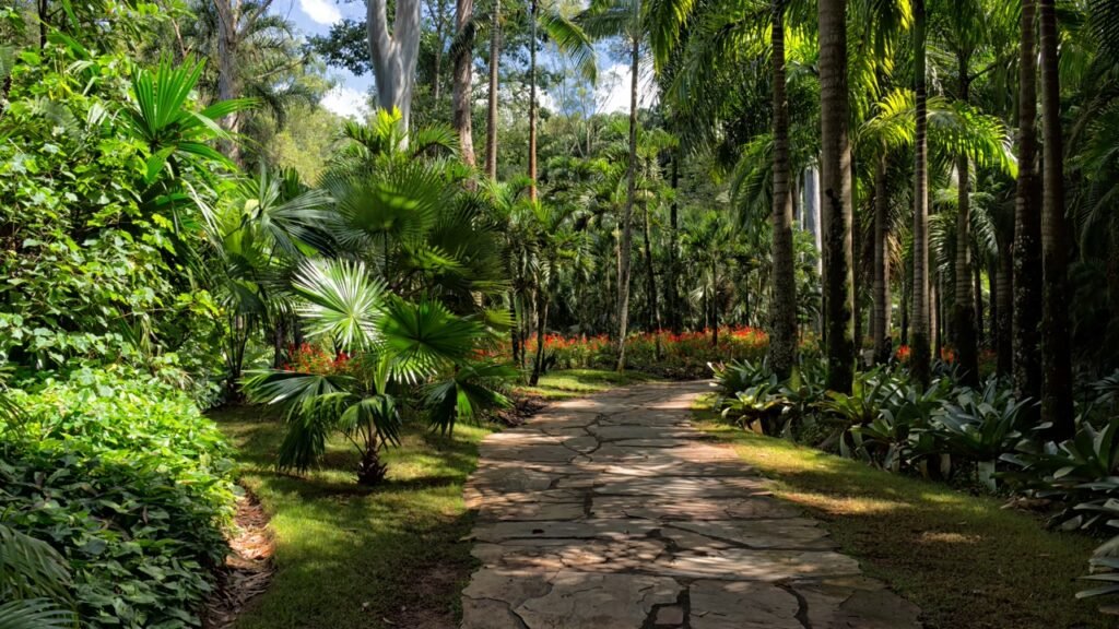 O maior museu a céu aberto da América Latina fica a 60 km de Belo Horizonte, em meio a um jardim botânico com mais de 4 mil espécies de plantas