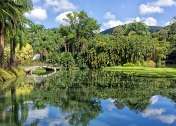 O maior museu a céu aberto da América Latina fica a 60 km de Belo Horizonte, em meio a um jardim botânico com mais de 4 mil espécies de plantas