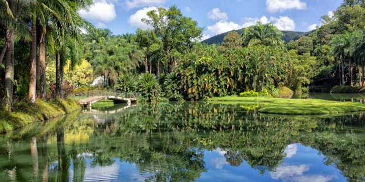 O maior museu a céu aberto da América Latina fica a 60 km de Belo Horizonte, em meio a um jardim botânico com mais de 4 mil espécies de plantas