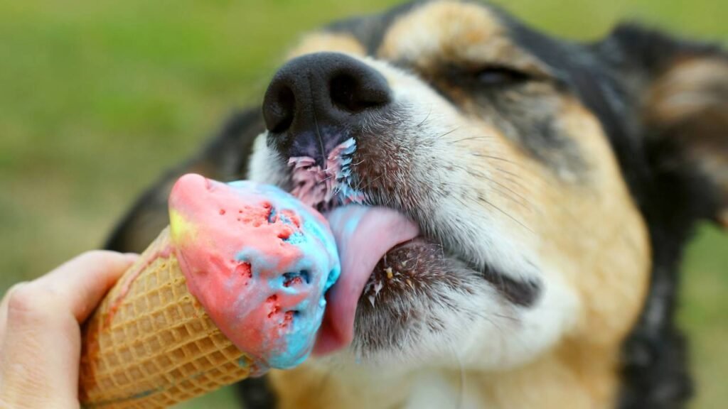 sorvete cachorro