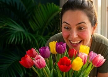 como plantar o bulbo da tulipa