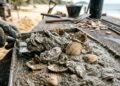 Pesquisadores britânicos substituem até 33% do cimento no concreto por conchas marinhas, reduzindo as emissões em 36%