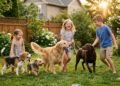 As 5 raças de cachorro para quem tem crianças em casa e preza pela segurança