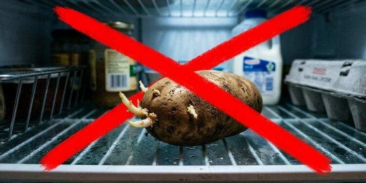 Onde guardar batatas para não brotar e durar meses sem perder a qualidade
