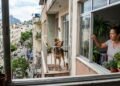 A partir de agora, os donos de cachorros que deixam o animal latindo excessivamente o dia todo precisam controlar o barulho ou podem levar multa por perturbação do sossego