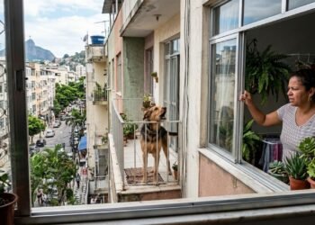 A partir de agora, os donos de cachorros que deixam o animal latindo excessivamente o dia todo precisam controlar o barulho ou podem levar multa por perturbação do sossego