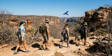 O único lugar do planeta onde vive a arara-azul-de-Lear: a cidade baiana de 37 mil habitantes que abriga 60% de uma reserva candidata a Patrimônio Mundial