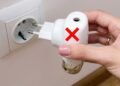 As ervas aromáticas para a janela que afastam mosquitos e pernilongos da casa melhor do que repelentes de tomada