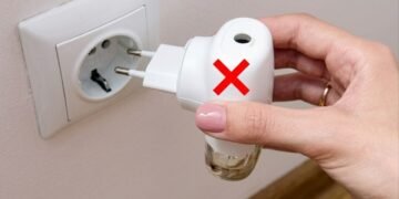 As ervas aromáticas para a janela que afastam mosquitos e pernilongos da casa melhor do que repelentes de tomada