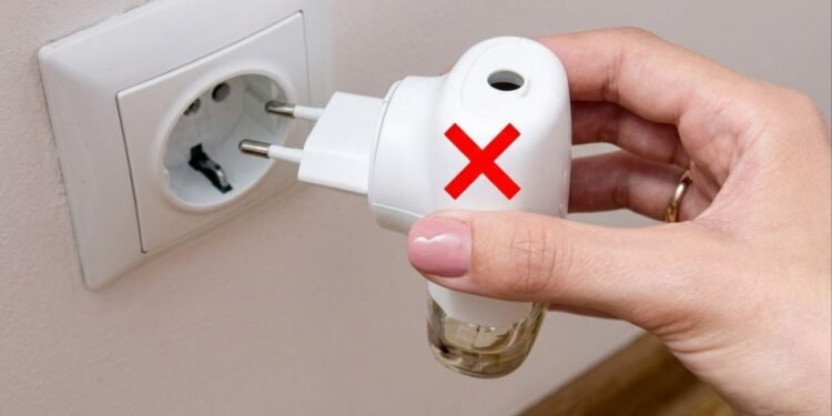 As ervas aromáticas para a janela que afastam mosquitos e pernilongos da casa melhor do que repelentes de tomada