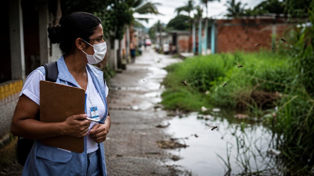Febre do Oropouche avança pelo Brasil e preocupa especialistas
