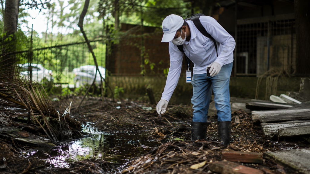 Febre do Oropouche avança pelo Brasil e preocupa especialistas
