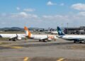 Companhias aéreas como Latam, Gol e Azul passam a seguir novas regras para assistência a passageiros e transporte de pets na cabine