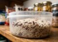 Como eliminar caruncho dos alimentos e impedir que a infestação volte ao armário