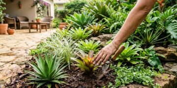 Quer um jardim bonito rápido? Essas plantas mudam o visual antes do que você imagina