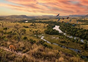 O Cerrado brasileiro guarda paisagens, animais e segredos naturais que surpreendem o mundo