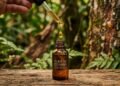 Óleo de copaíba tem compostos promissores, mas a evidência em humanos é limitada