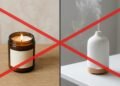 Nem velas aromáticas nem difusores, a miniárvore tropical que é um perfume natural vivo