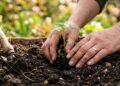 O que plantar e podar em maio para ter um jardim mais forte e bonito