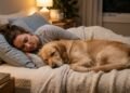 O que significa quando o cachorro escolhe dormir na sua cama todos os dias