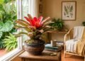 A planta perfeita para ambientes internos que precisa de pouca manutenção e floresce por meses