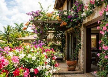 A planta que floresce o ano inteiro e virou a queridinha dos jardins modernos e fáceis de cuidar