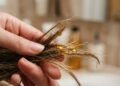 Adeus fios opacos e quebradiços, a rotina semanal com óleos vegetais que devolve o brilho e a força