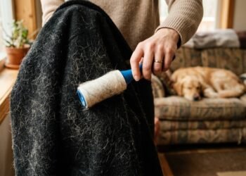 O truque simples para remover pelos de animais das roupas antes que eles invadam a máquina de lavar